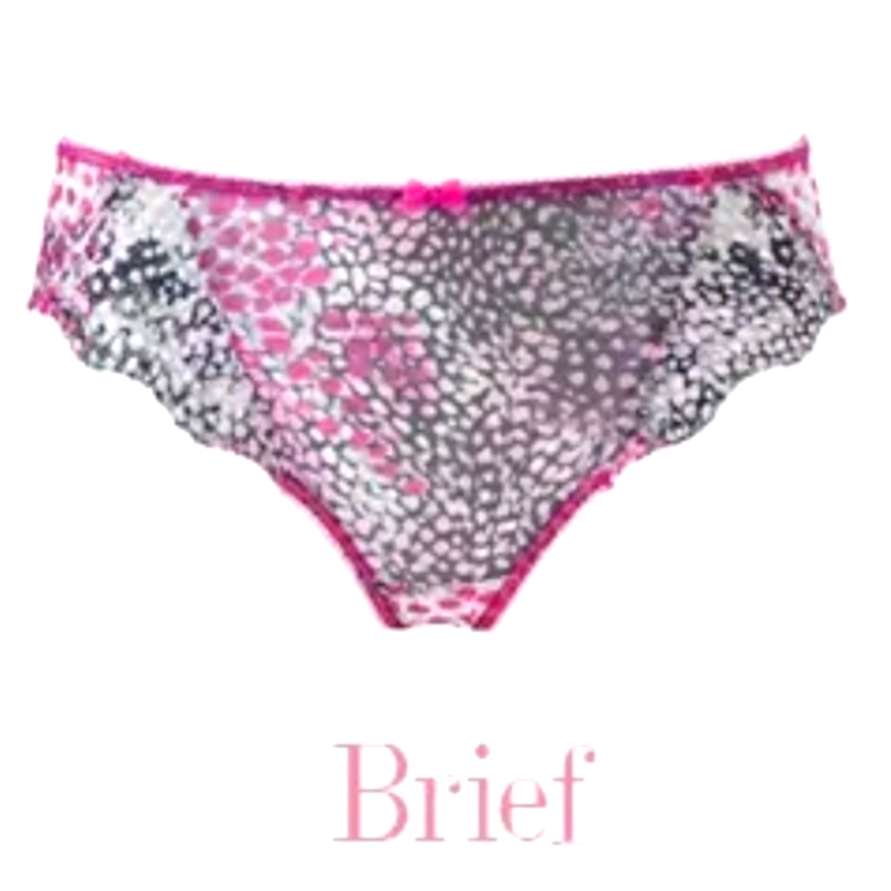 NWT Fantasie Nicola High Waist Panties Large Embroidered Animal Print